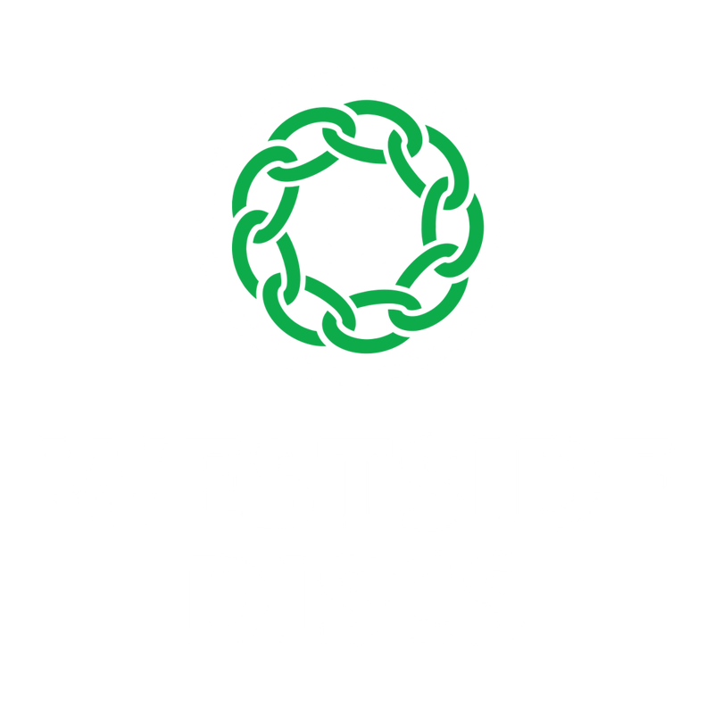 Discos de disc golf Westside Discs